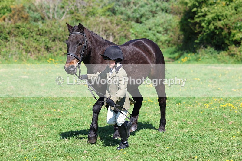 3E7A9935 - Class 17: Young Handler