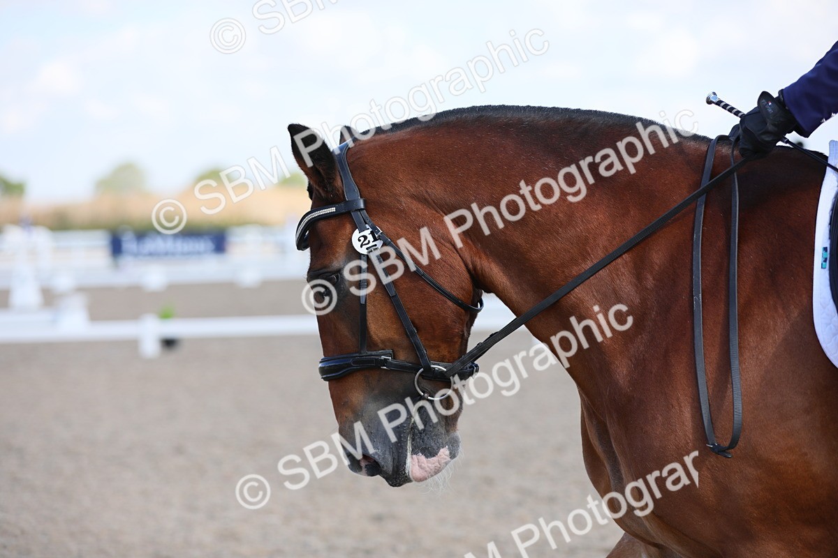 SBM_03825 - Class 31 Prelim 1