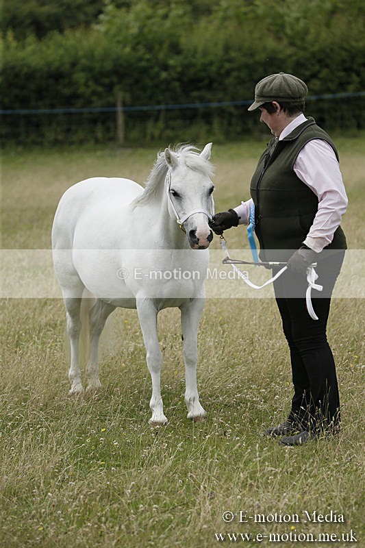 B230619-0601 - Bourne Valley Riding Club Summer Show 23/06/19