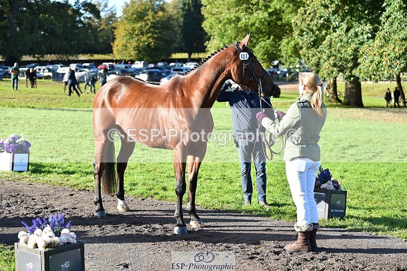 231022-101918-22409 - 433-WILLIAM-Laura.Sharpe-TrotUp+SJ