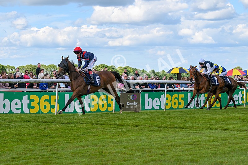 080624-Race 6-Walter Hartright-1723 - Race 6