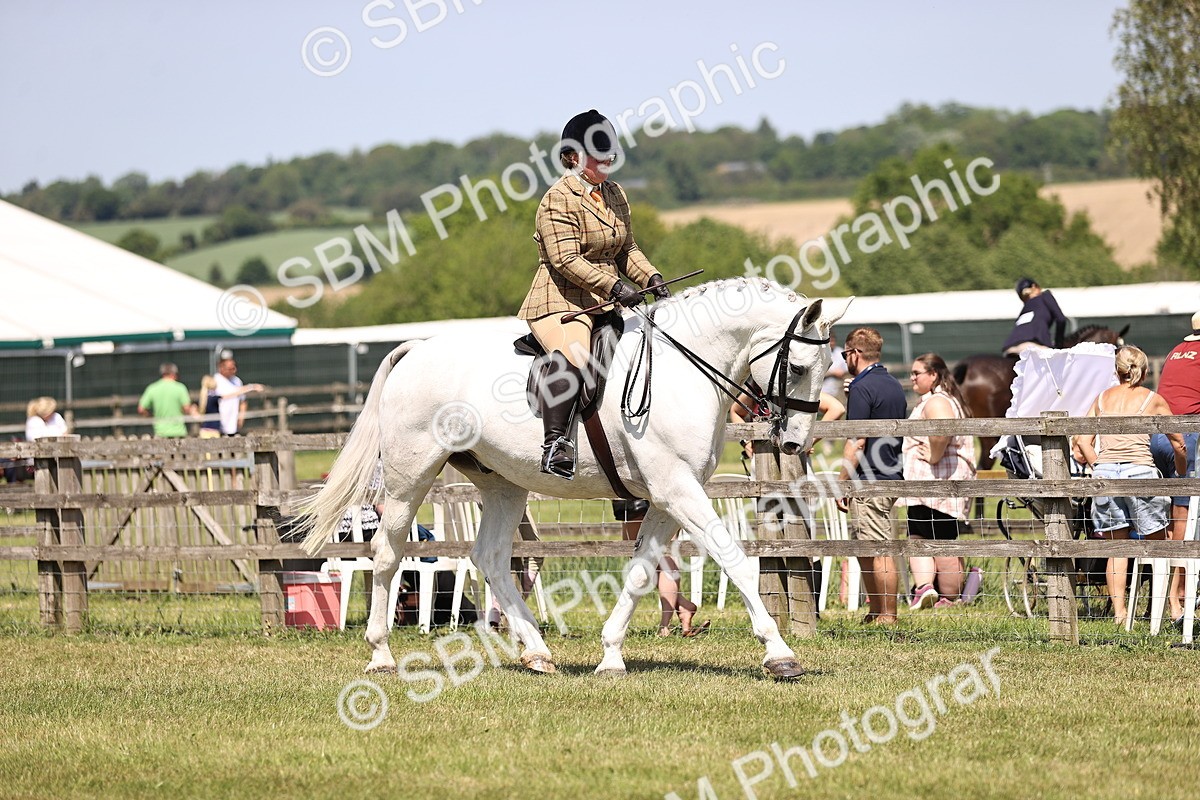 SBM_16206 - Class 79-80 - LIHS BSHA Rising Star Ridden Hunter
