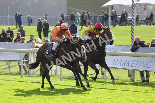 yr07102022r3-31 - Race 3 3.15pm British EBF £100,000 2yo Series Final (Colts and Geldings)