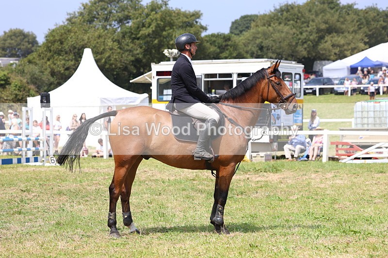 3E7A3027 - Class 7: Senior British Novice/90cm open