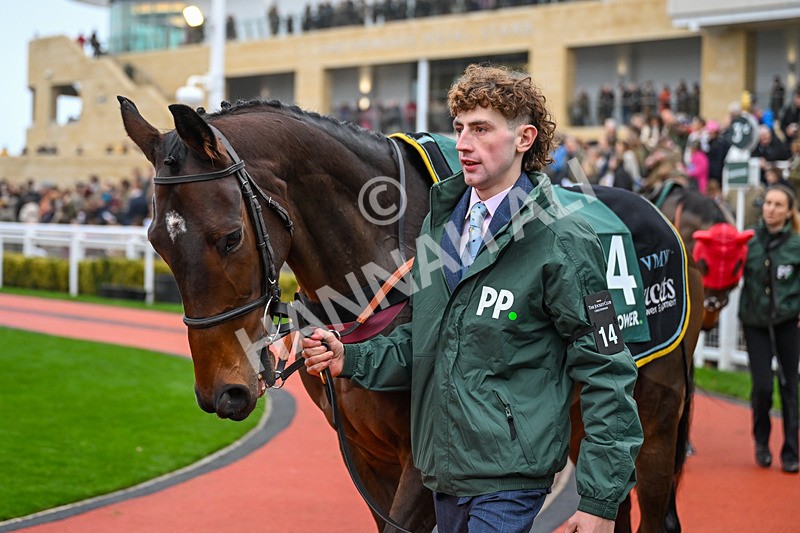 151125-Race 4-Hunter Legend-3356 - Race 4