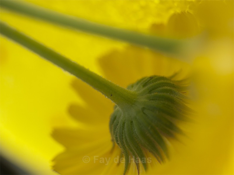  - Nature's Wonders