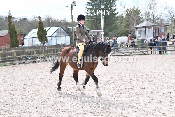 BPP_7634 - RING 1  (RIDDEN HORSES / IN HAND / VETERAN ETC)