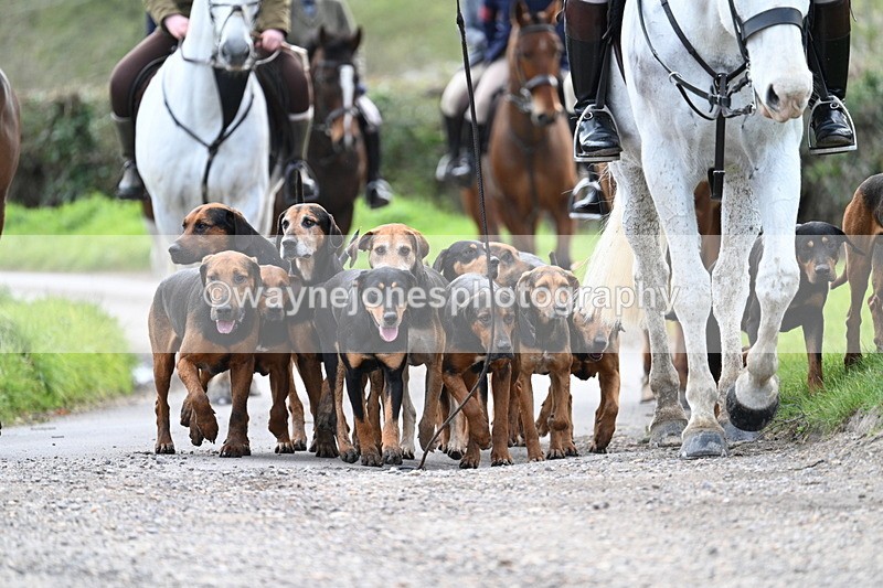 WJ7_9785 - Walk Home