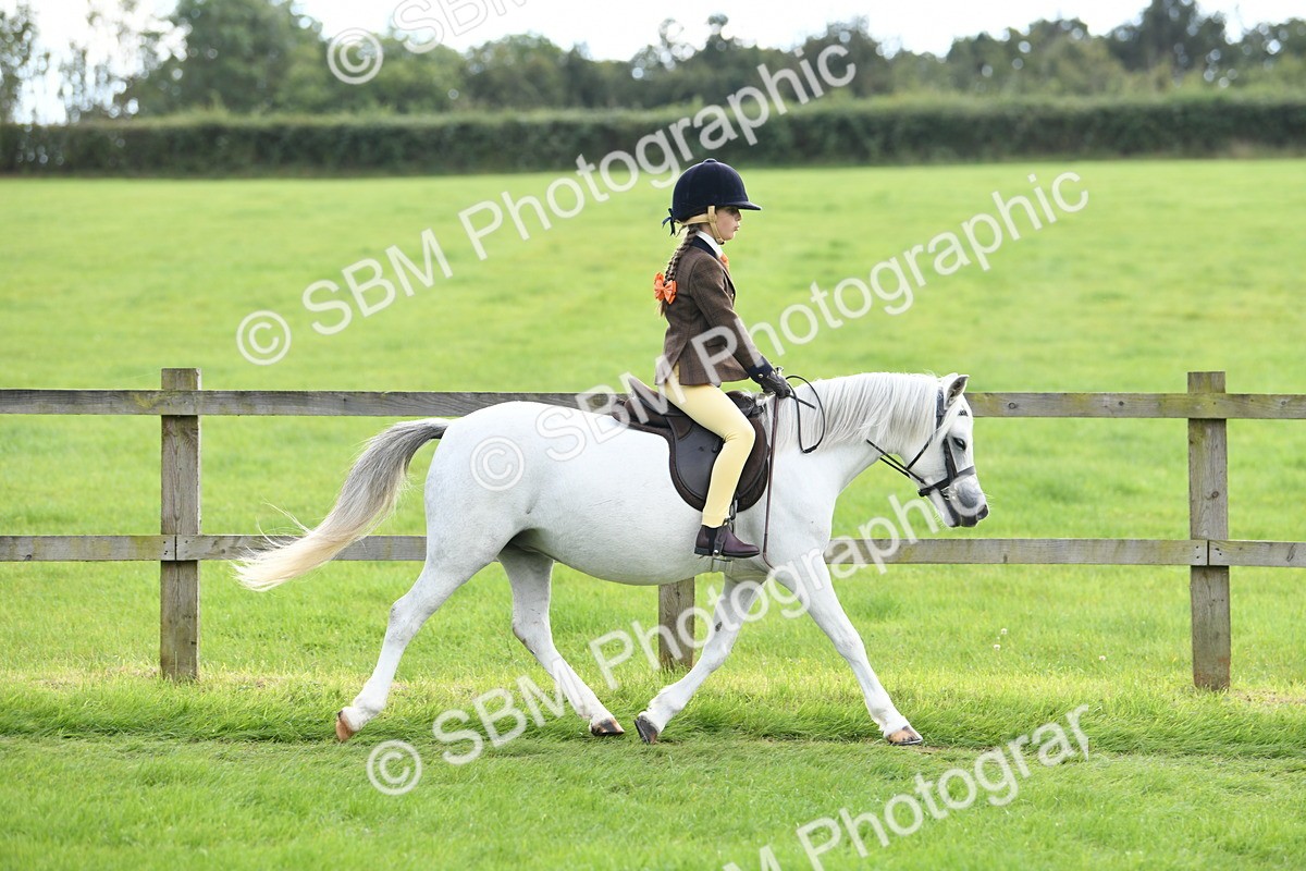 SBM_46750 - S12 - Family Horse & Pony