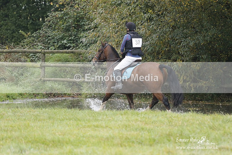 WWHT 171021 0686 - Novice Restricted (0.80m)  17/10/21