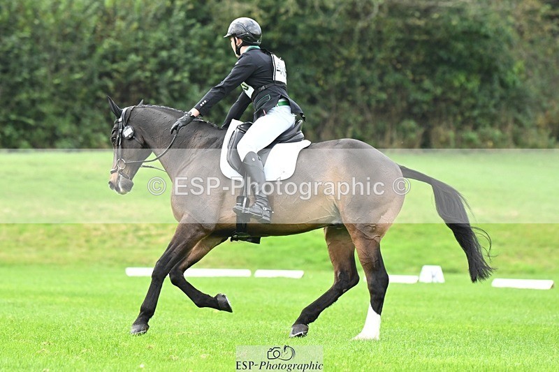 241024-100958-02946 - 406-Harvey.Crocker-THE.NIGHT.TRAVELLER