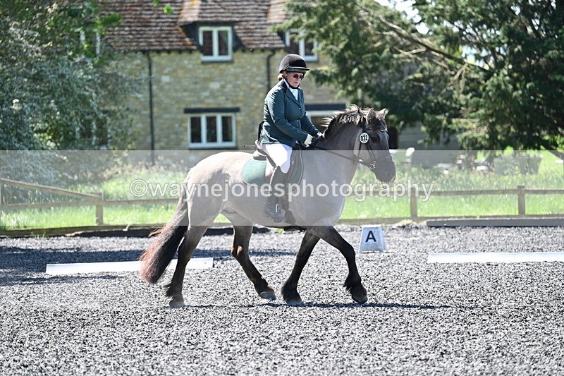 WJ7_9391 - Time 12:10 to 12:21