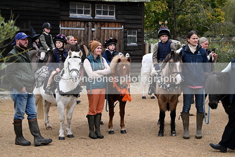 WJ7_6254 - Berks & Bucks - Children's Meet - The Old Farmhouse – Steventon.