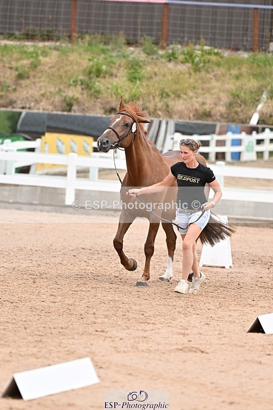 250716-143055-01153 - Trot Up 2.30 to 3.30