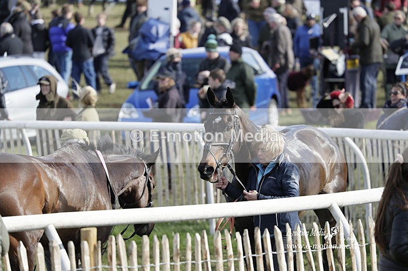 PtP 100423 926 - Old Berkshire Point-to-Point Lockinge 10/04/23