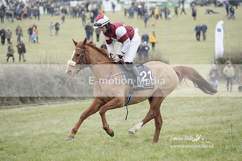 PtP 040323 444 - Duke of Beauforts Hunt Point-to-Point Didmarton 04/03/23