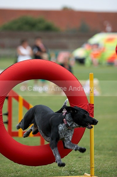  - Tendring Agility Group- St Osyth Summer Fete