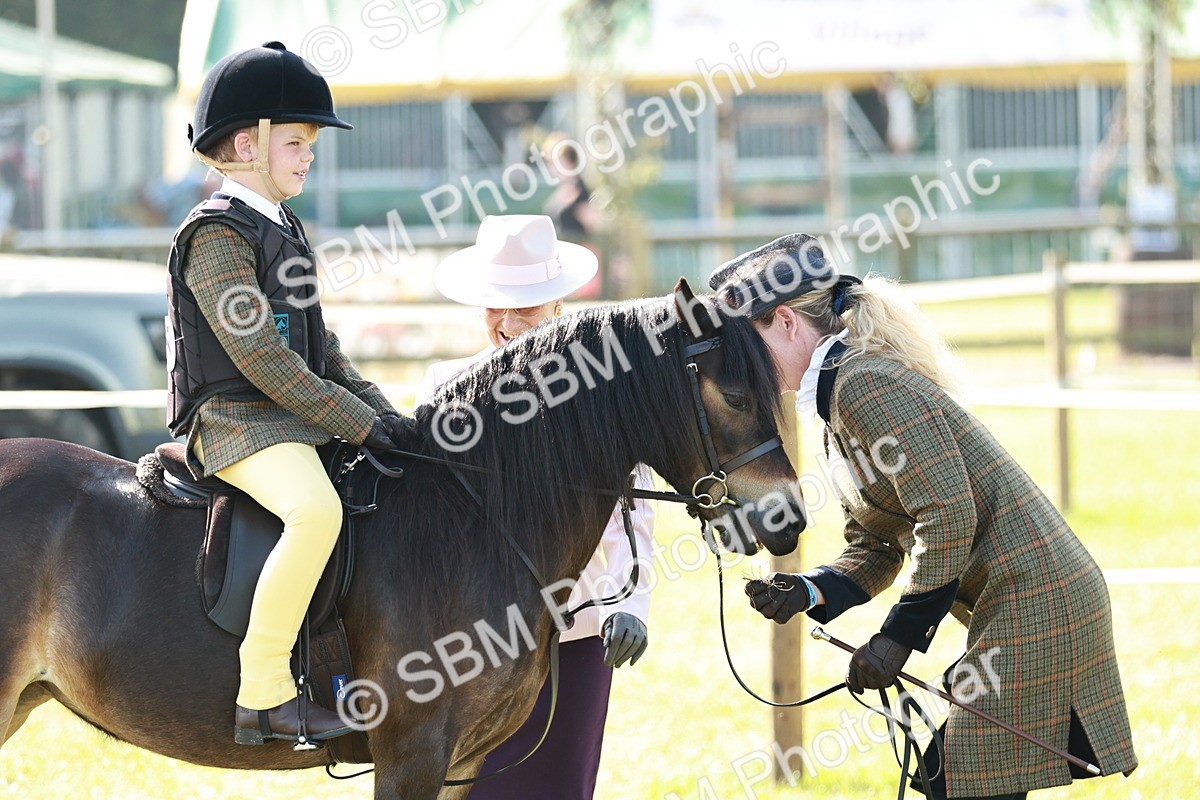 SBM_11205 - Class 106-107 - BSPS LIHS Working Sports Pony