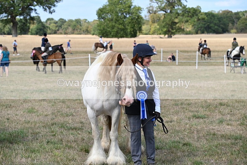 WJ6_6756 - Class 20 In-hand Cob