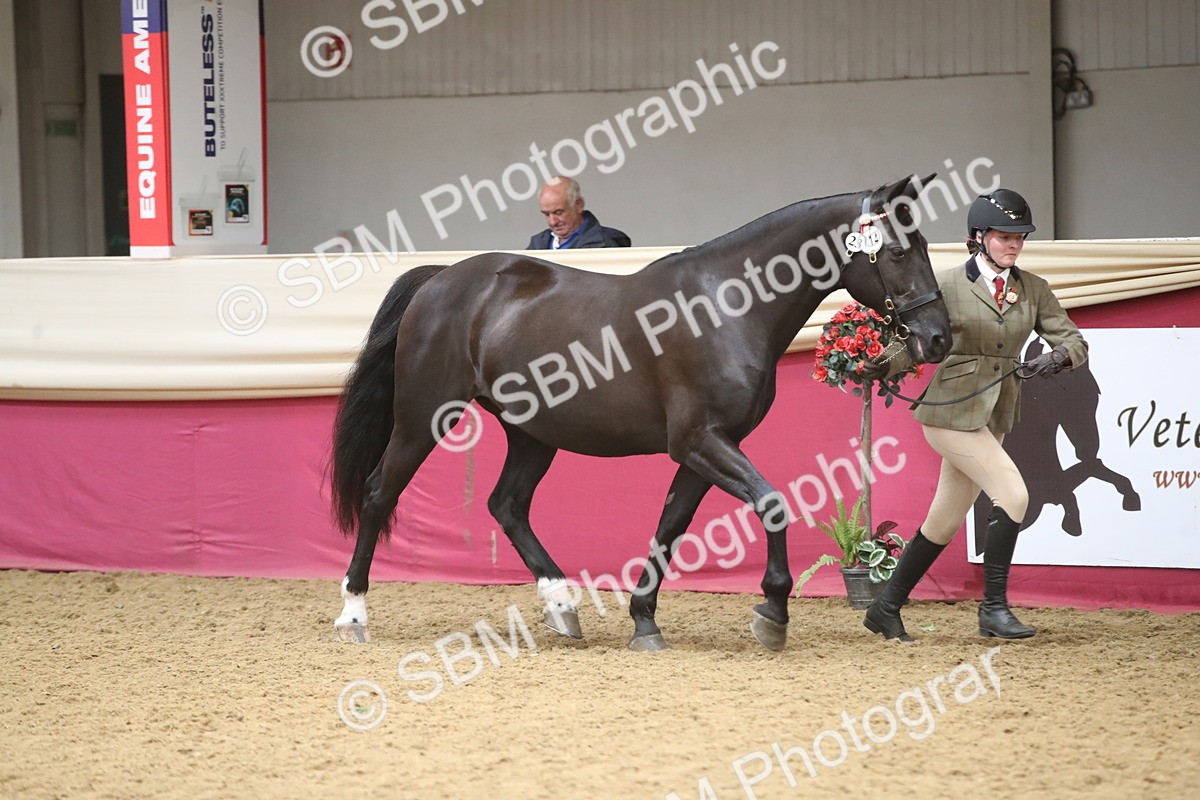 SBM_05295 - Class 8R - Regional IH Veteran