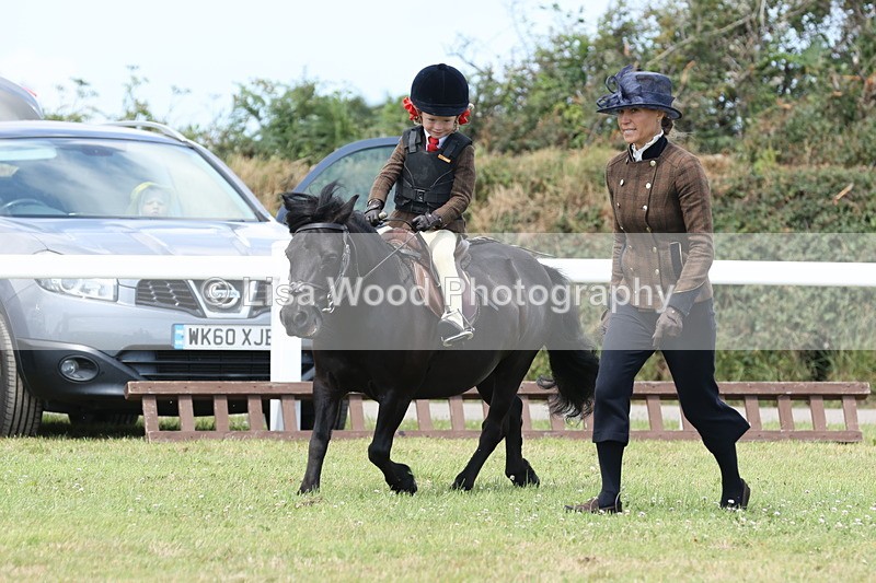JPP_1901 - Class 18: Tiny Tots Working Hunter Pony