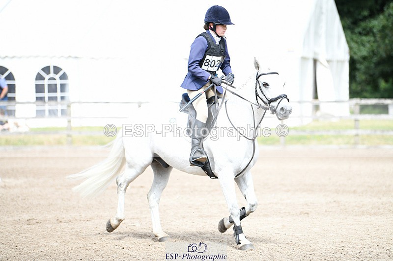 240825X-130743-34020 - 80cm SJ 12.45 to 14.00