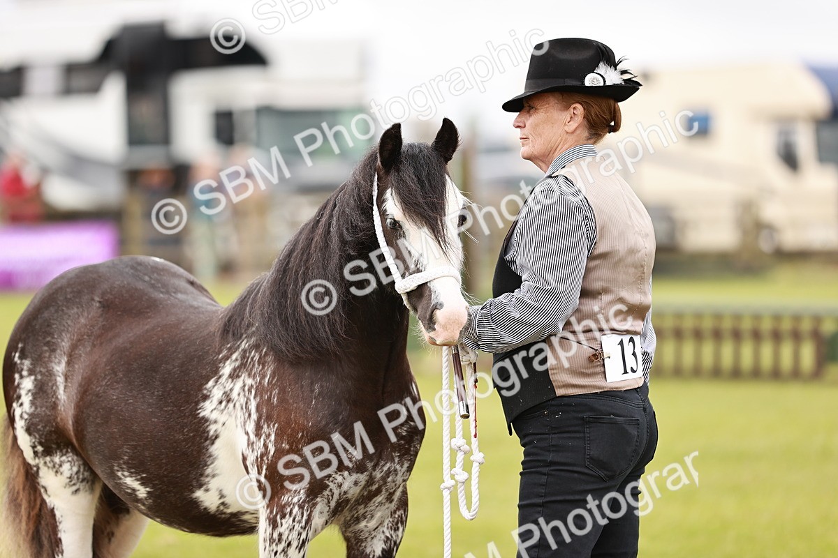 SBM_06001 - Class 39-41 TGCA In Hand and Ridden