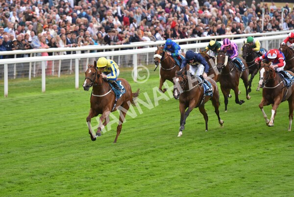 yr22072022r3-59 - Race 3 6.20pm Tomahawk Stakes