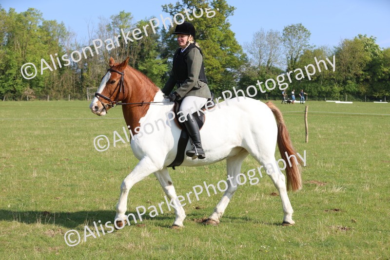 20250427-0532 - Class 17 - Novice Showing