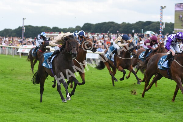 yr04092022r7-28 - Race 7 5.15pm Firmament Stakes