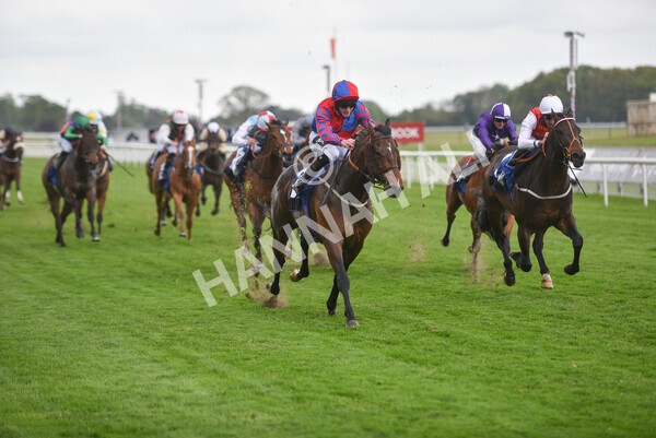 yr14052021r6-20 - Race 6 4.15pm Yorkshire Equine Practice Stakes