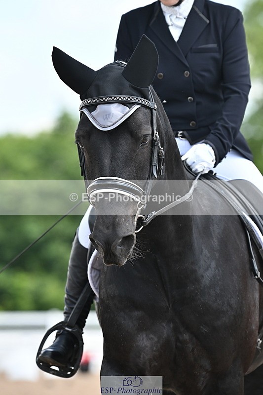 240621A-111102-01917 - Cls 4 BD Novice 22