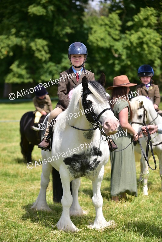 20260614-1305 - Class 11a - Lead Rein Pony (Unplaited)
