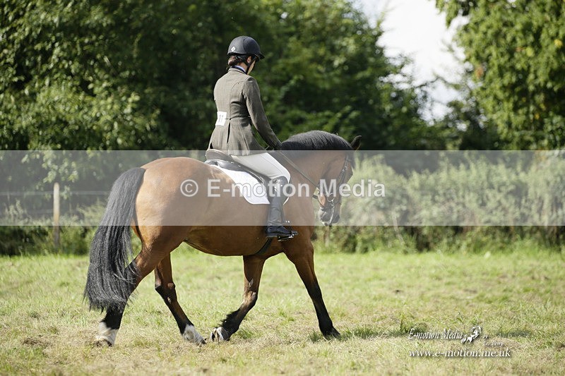 BVRC 120921 334 - Bourne Valley Riding Club UA Dressage & Show Jumping 12/09/21