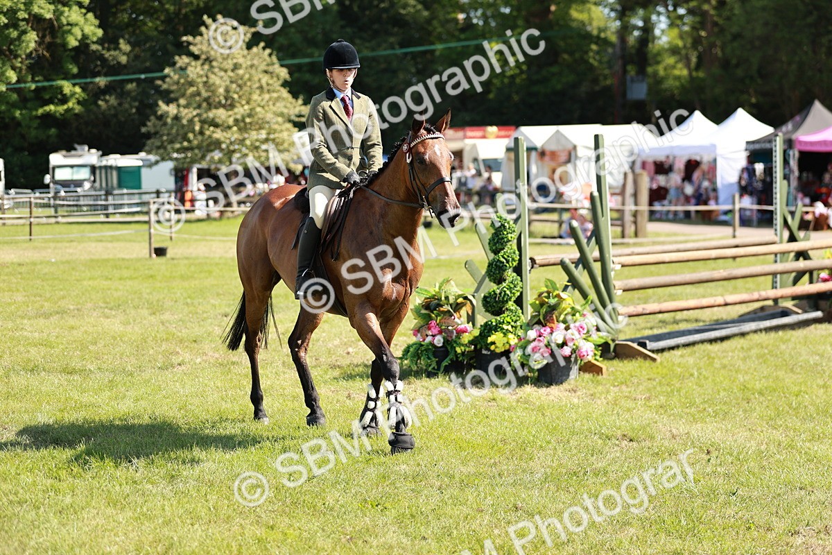 SBM_18840 - Class 114 - RIHS & SEIB Open Working Show Horse