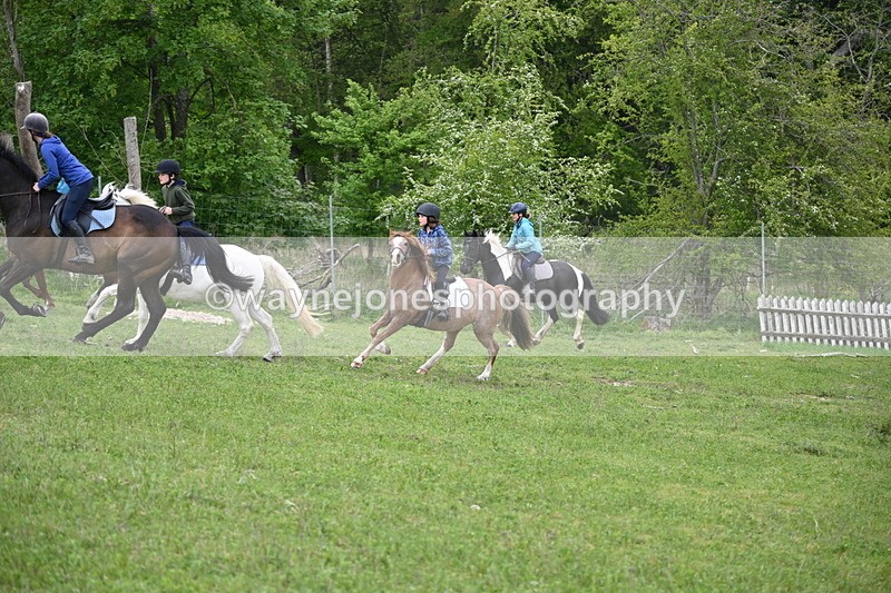 WJ6_3041 - A Camera