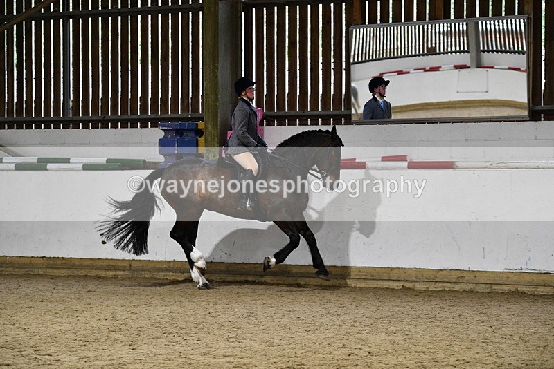 WJ5_8806 - Class 15 Ridden Show Horse