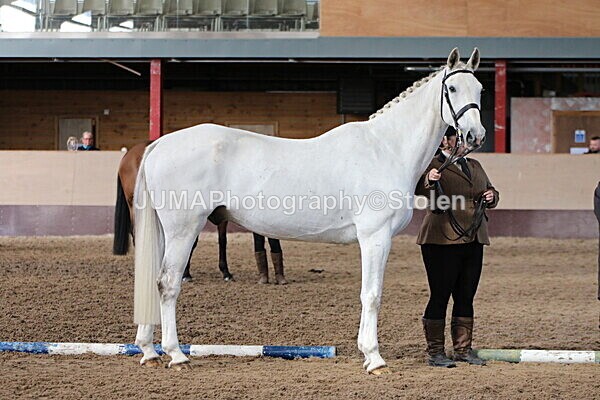 SIAL9638 - Indoor Classes