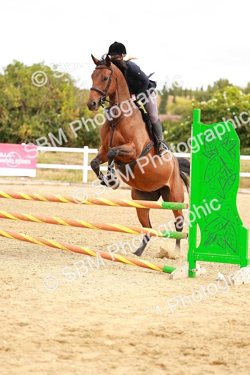 SBM_005451 - Class 2 - Senior British Novice - 90cm
