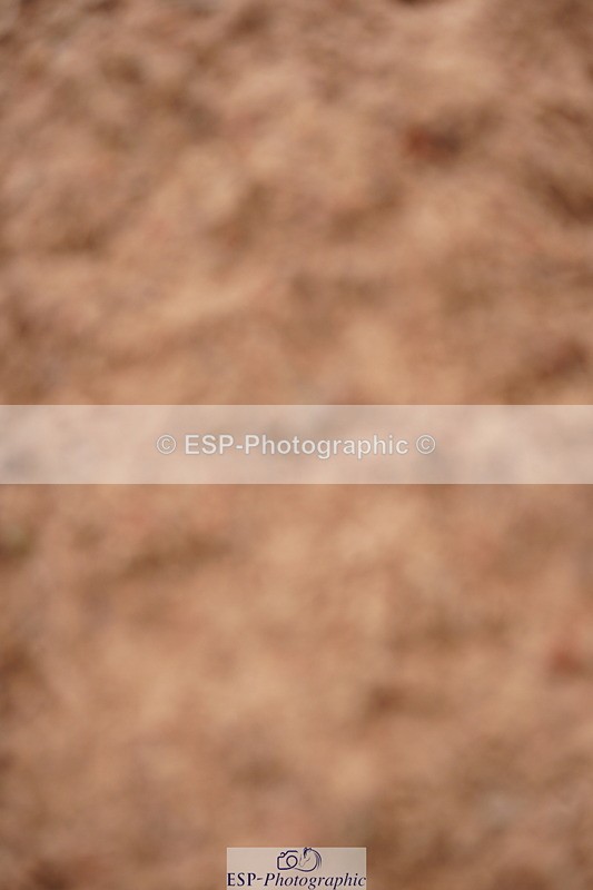 240628A-161722-00123 - Cls 1 Intro 80cm