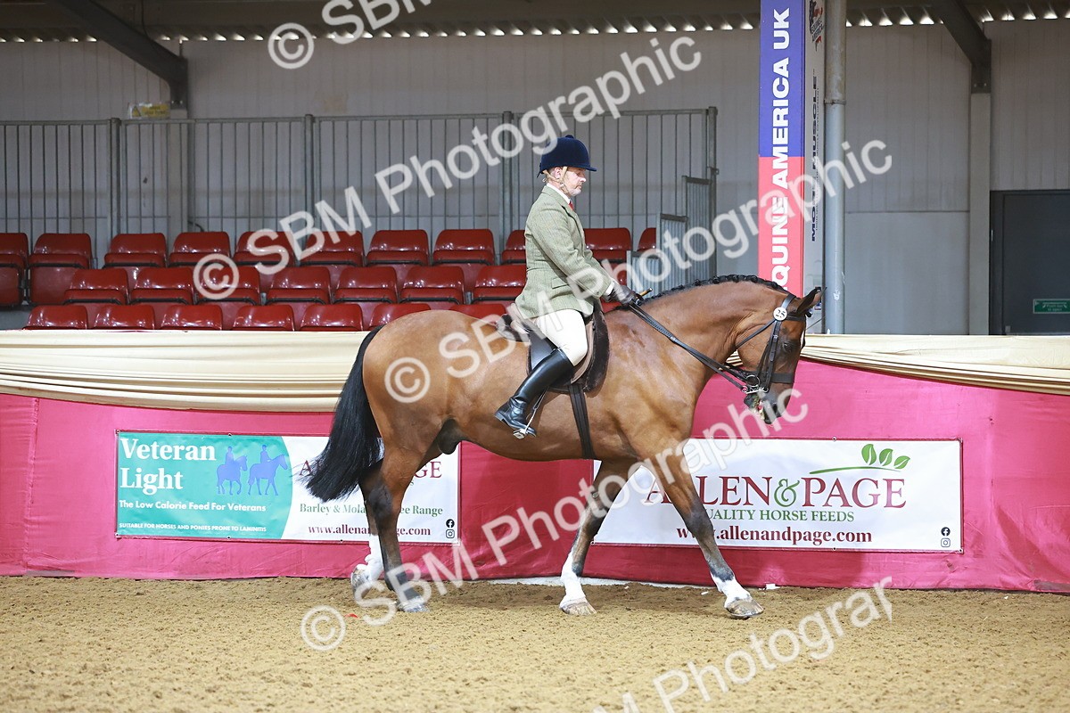 SBM_07561 - Class 101 - HOYS Veteran Qualifier - Ridden Diamond