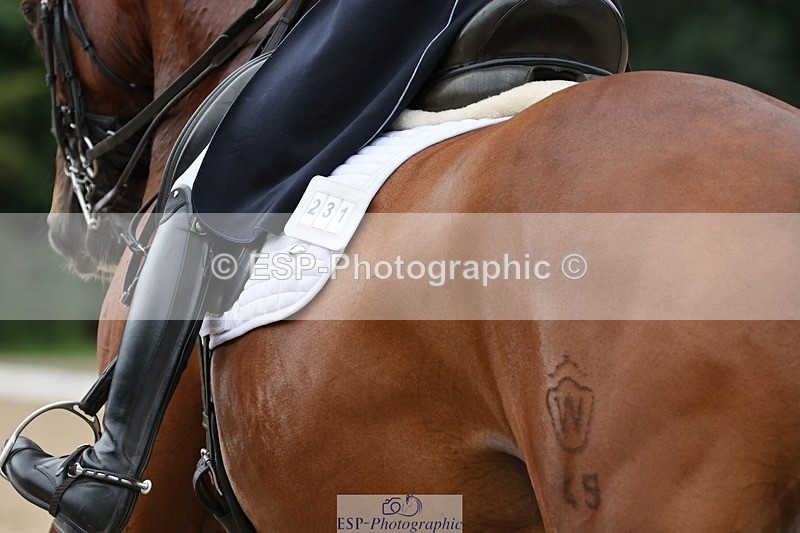 240810-151251-03931 - 231-Louise.Hutchinson-Donnarella