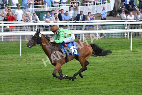 yr09072021r5-49 - Race 5: 4.20pm Garbutt + Elliott Stakes