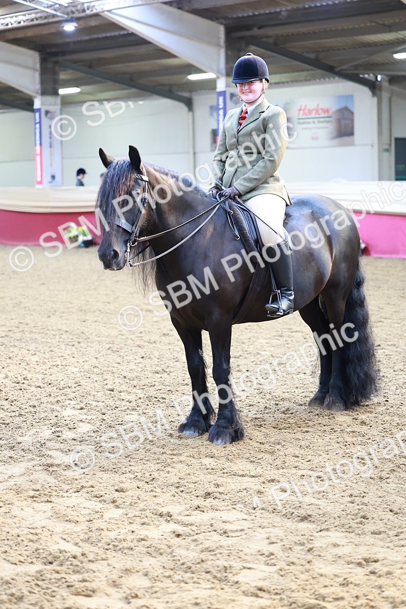 SBM_11976 - Class 102 - Equitation (Best Rider) Adult