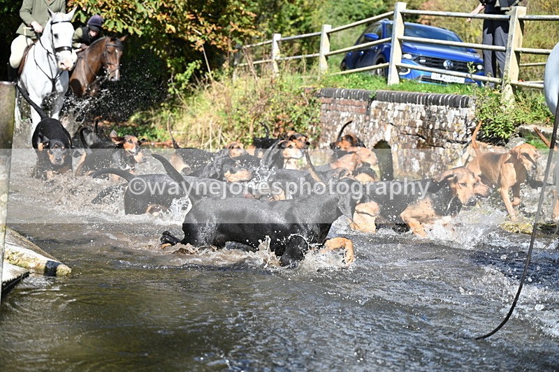 WJ7_5971 - Hounds Water Crossing