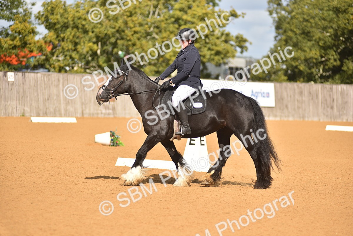 SBM_03030 - D4 - Small Tour Championship Intro 4