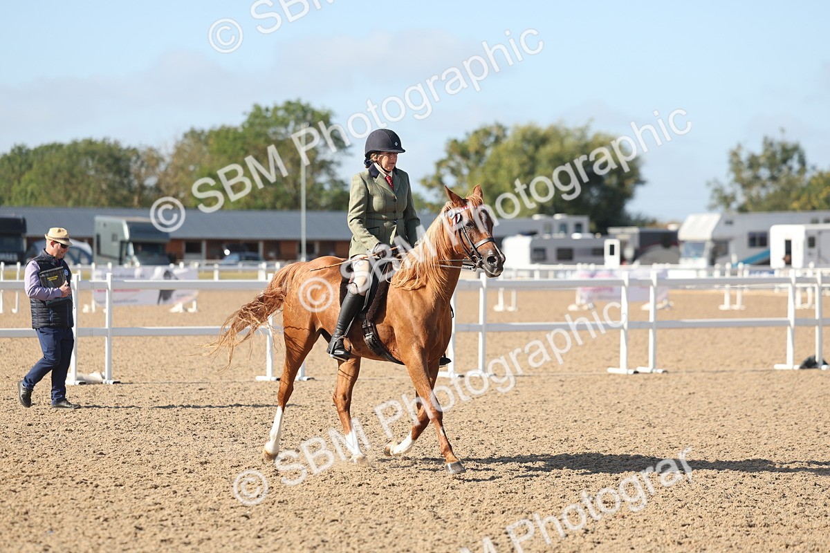 SBM_22308 - Class 803 - Ridden Combination 65+