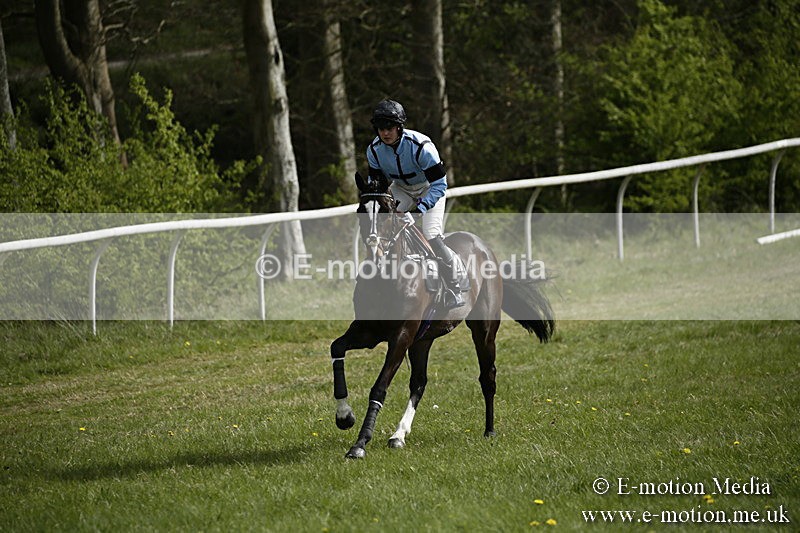 PtP 170417 230 - Old Berks Point-to-Point Lockinge 17/04/17