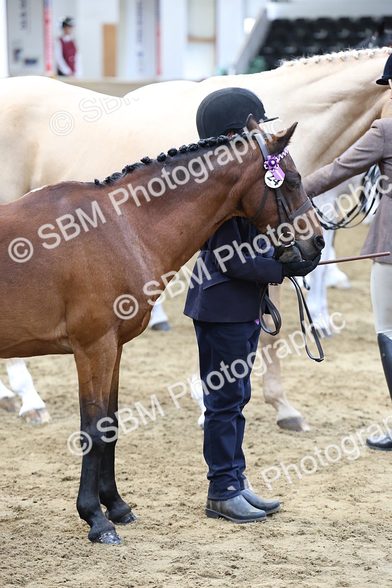 SBM_22466 - Class 902 - Supreme Final - IH Diamond