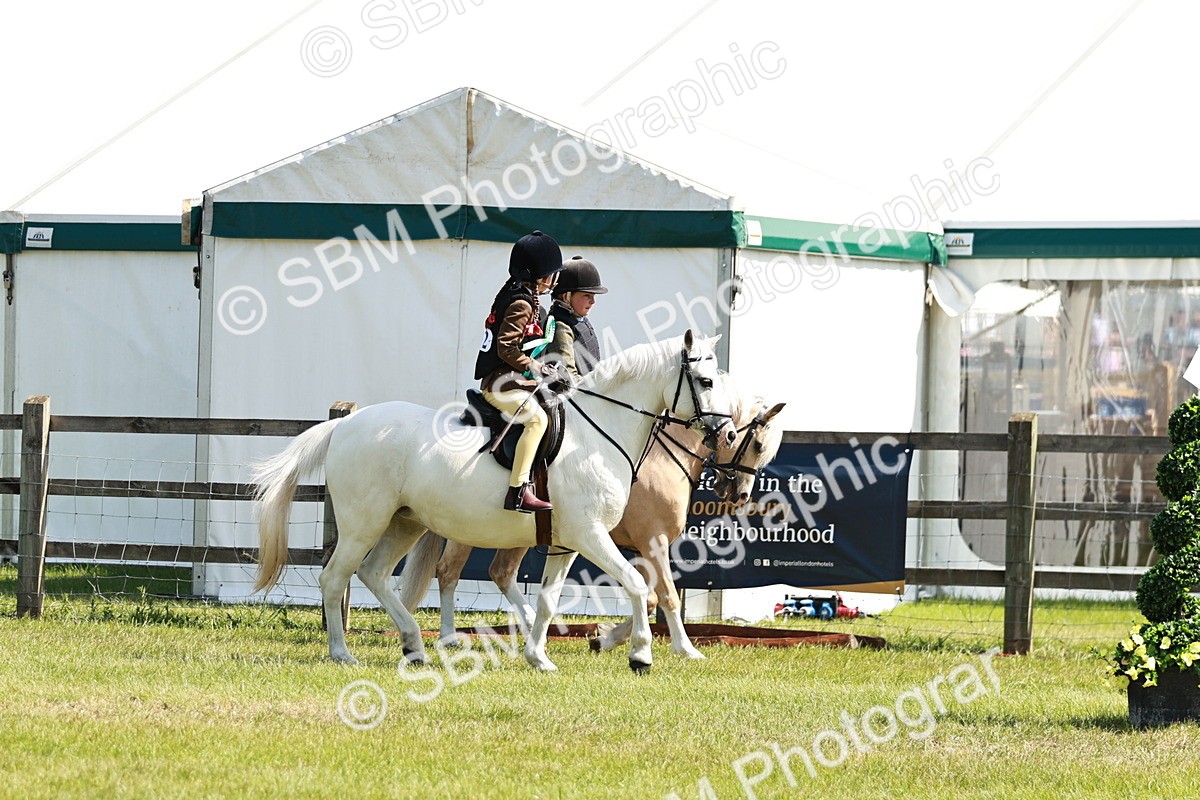 SBM_12856 - Class 106-107 - BSPS LIHS Working Sports Pony